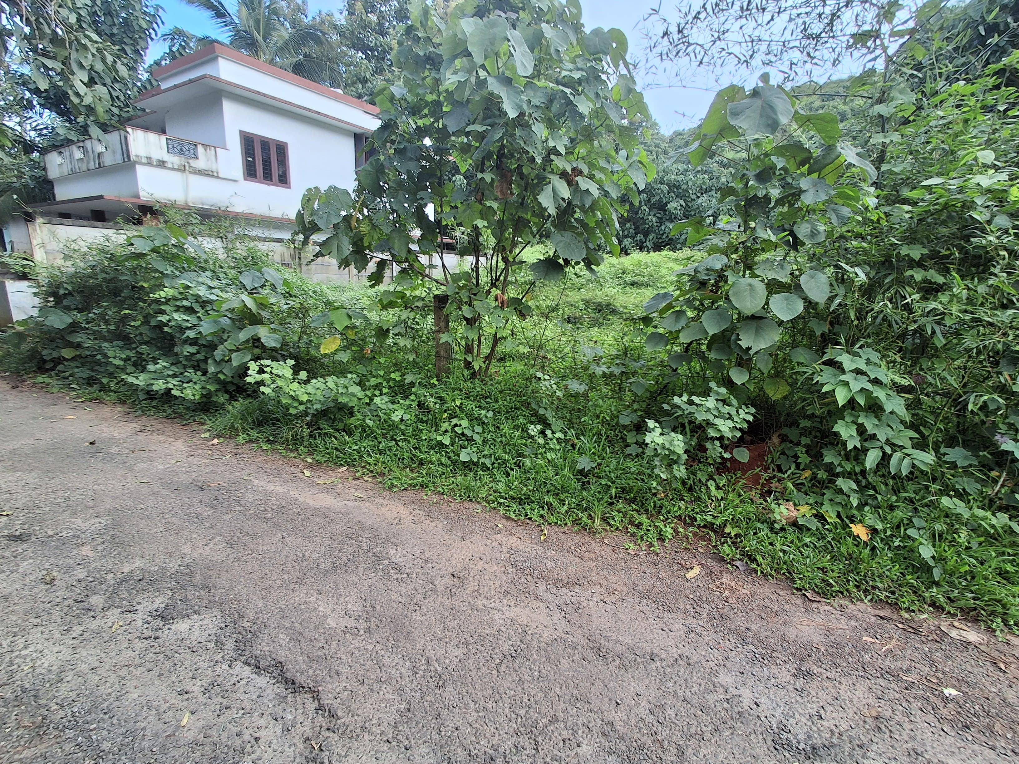 RWP309