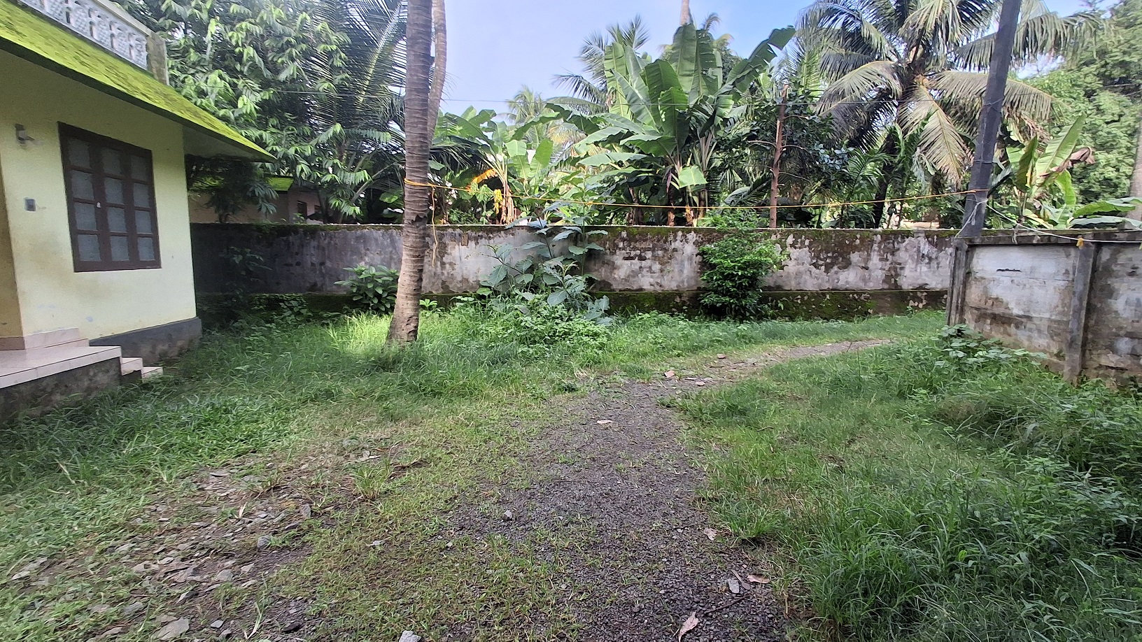 RWP384