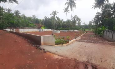 RWP289